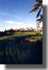 View looking towards Golf Clubhouse
